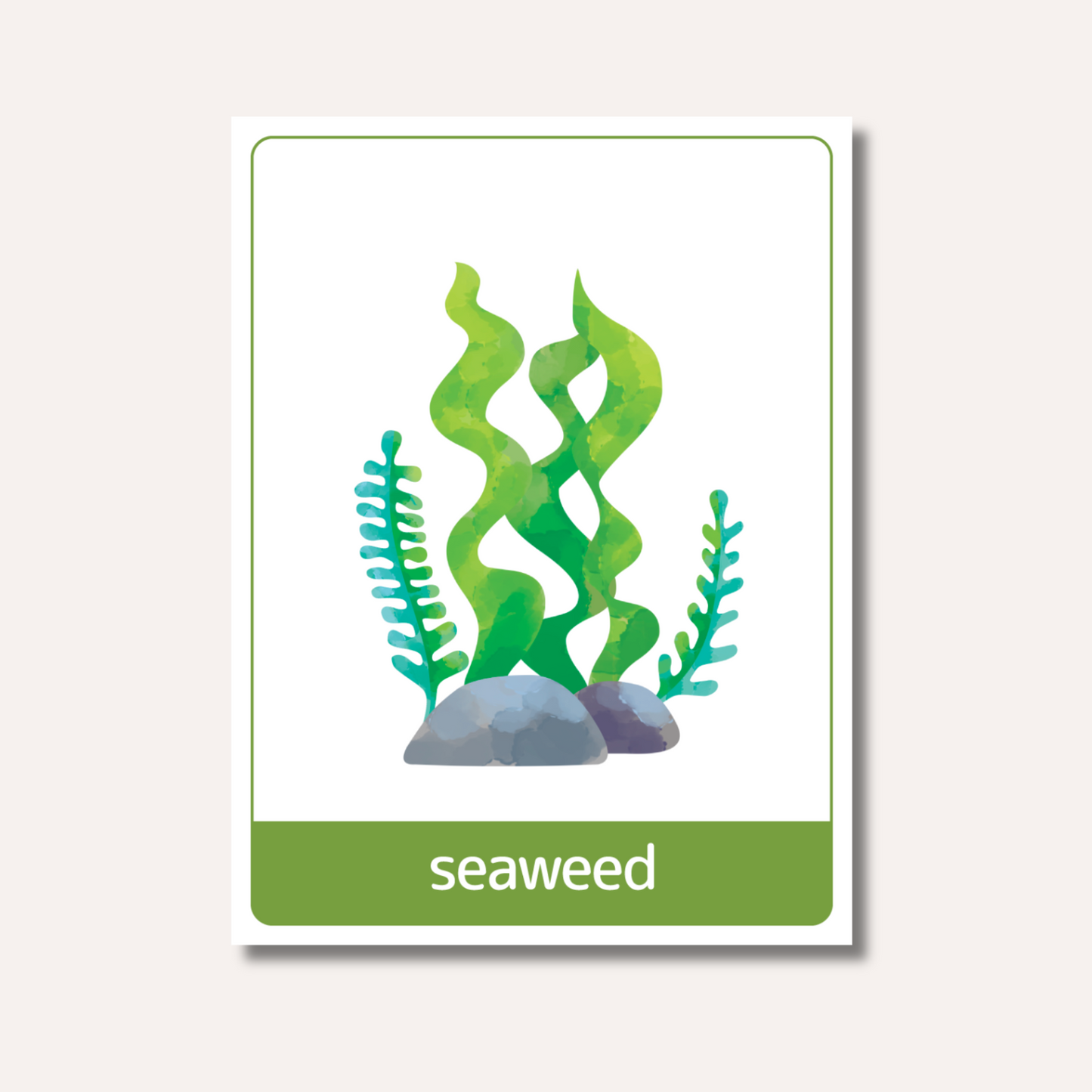 Flash Cards: Sea Animals x18