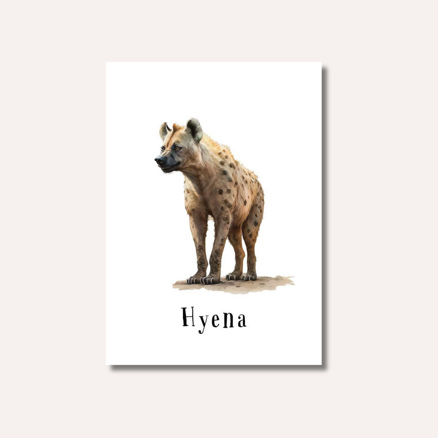 Flash Cards: Wild Animals x17