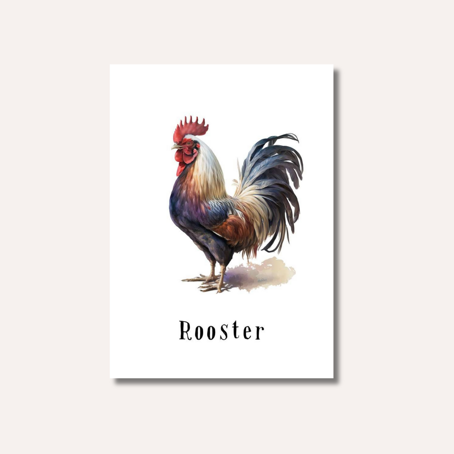Flash Cards: Farm Animals x12