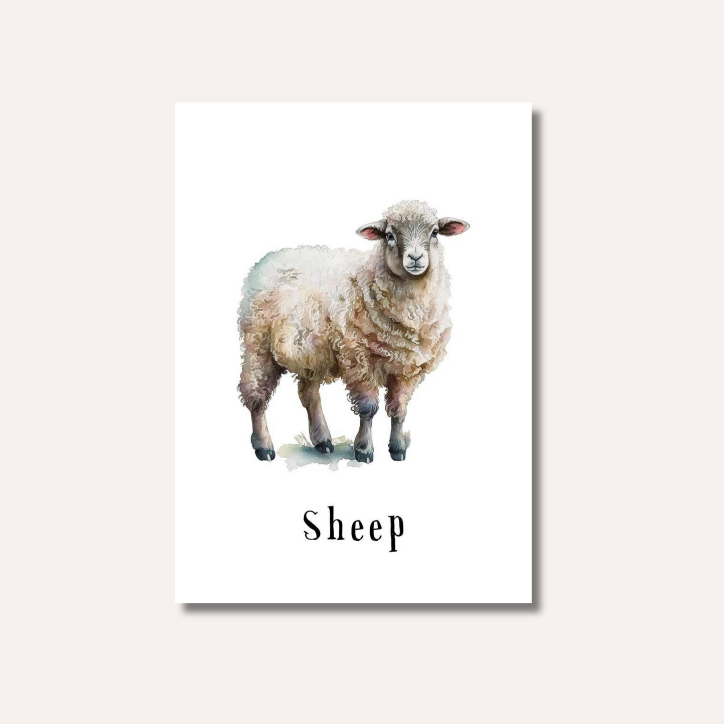 Flash Cards: Farm Animals x12