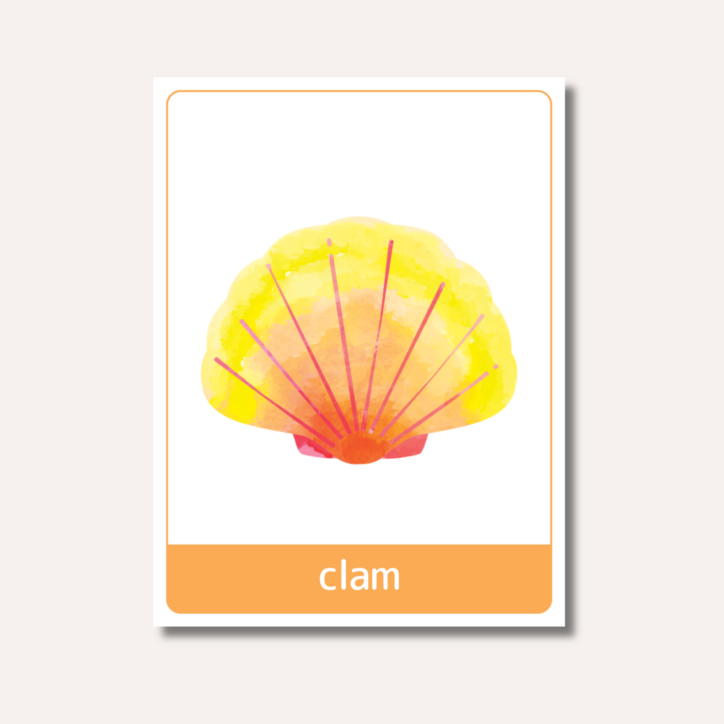 Flash Cards: Sea Animals x18