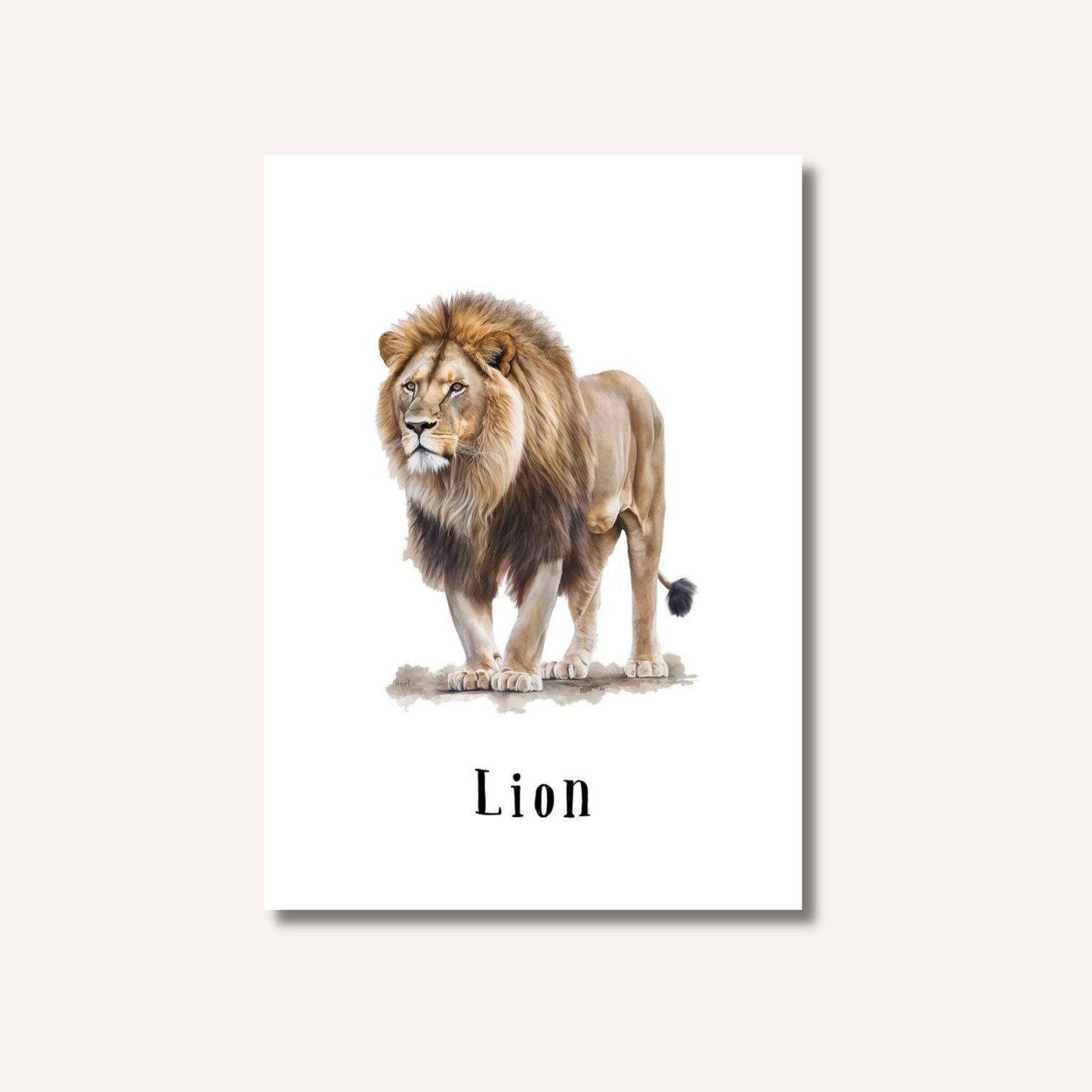 Flash Cards: Wild Animals x17