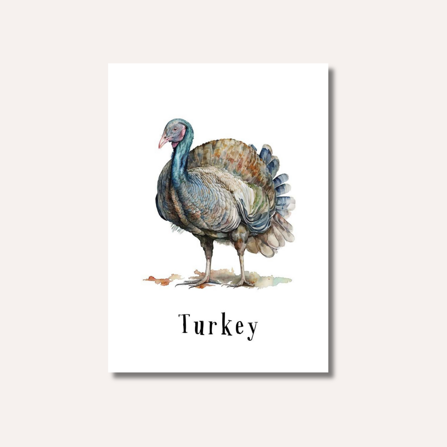 Flash Cards: Farm Animals x12