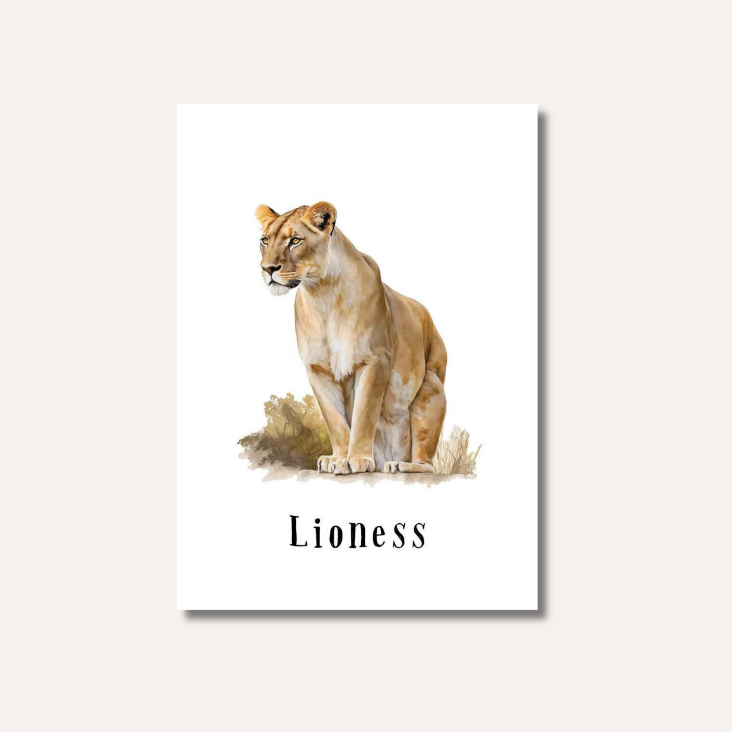 Flash Cards: Wild Animals x17