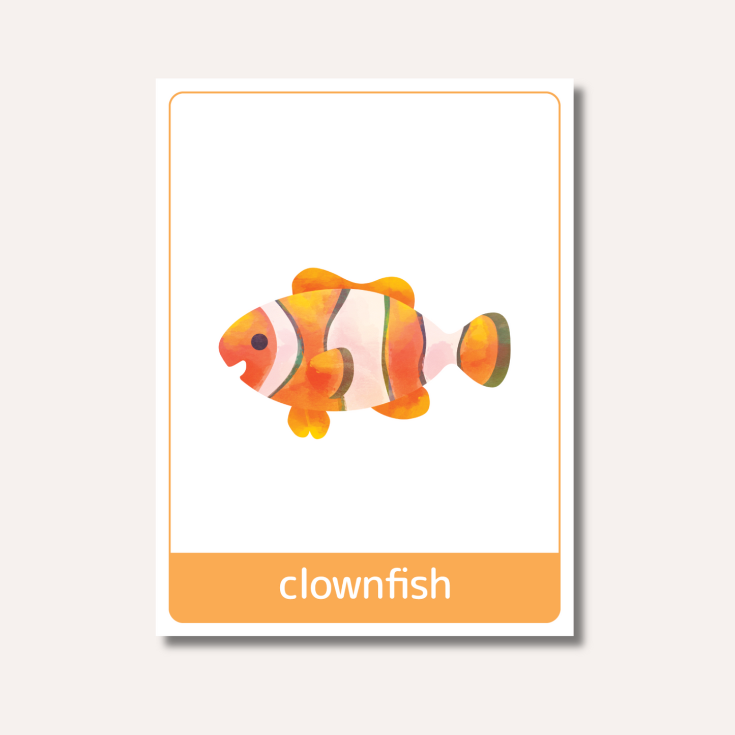Flash Cards: Sea Animals x18
