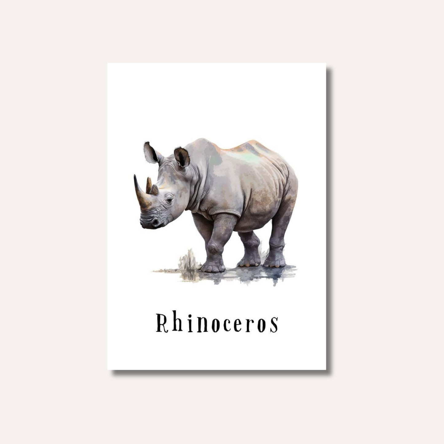 Flash Cards: Wild Animals x17