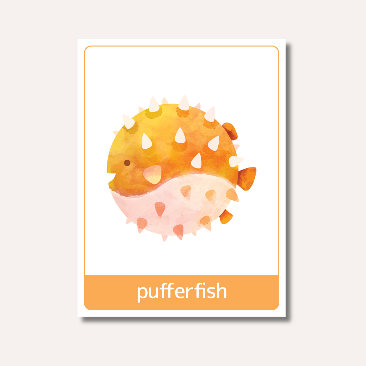 Flash Cards: Sea Animals x18
