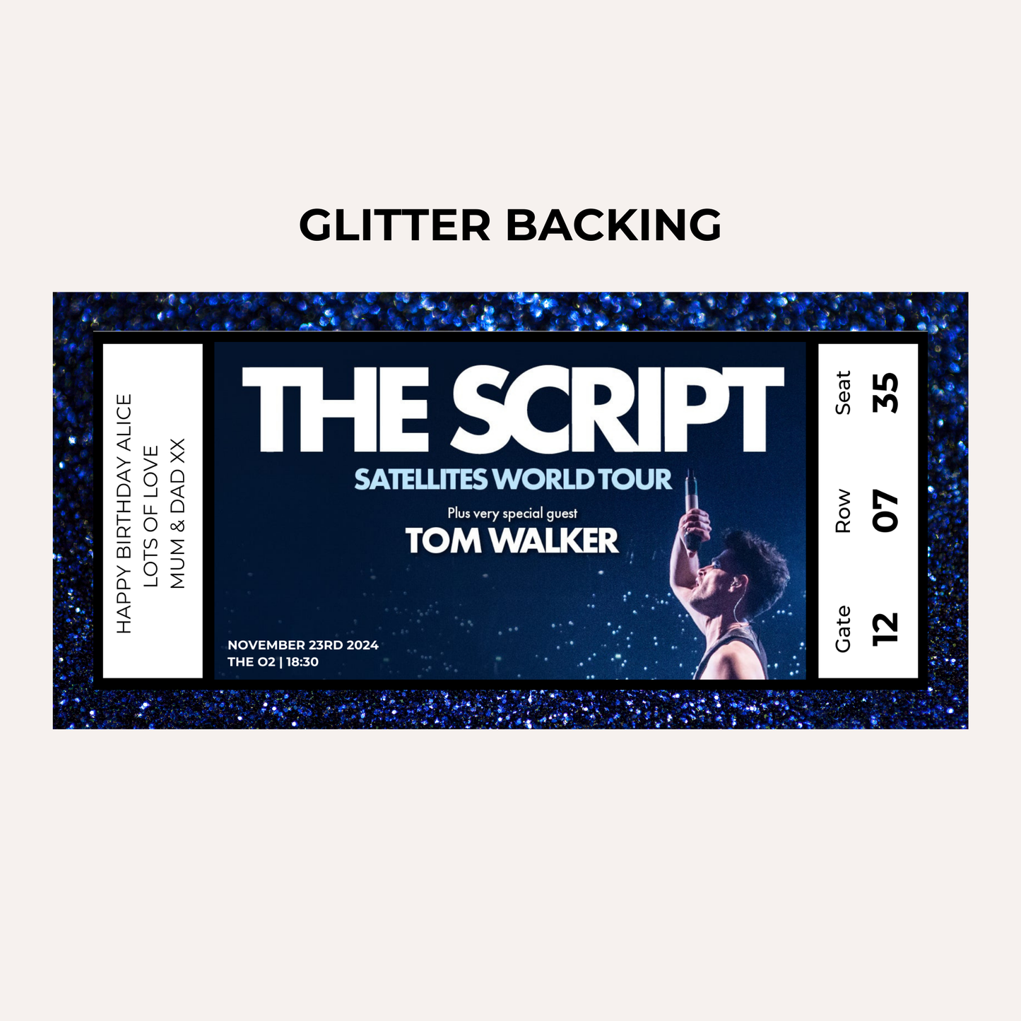 Concert Gifting Experience- The Script, Satellites World Tour