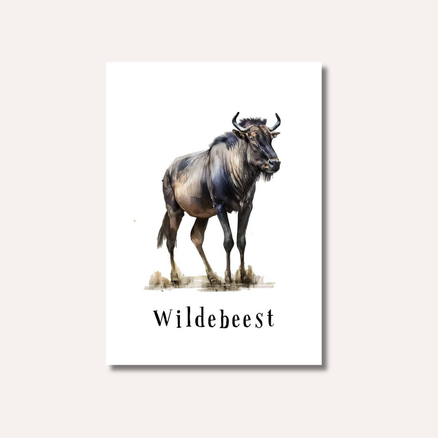 Flash Cards: Wild Animals x17