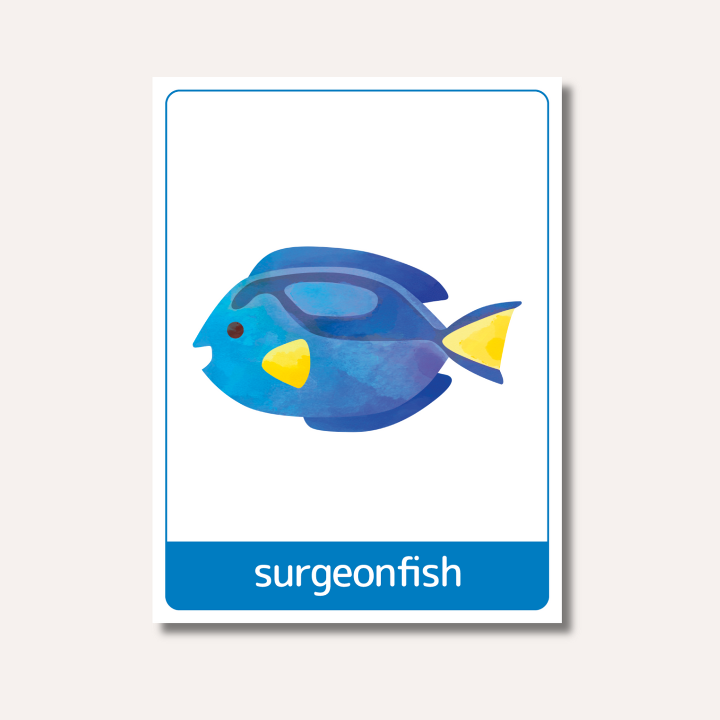 Flash Cards: Sea Animals x18