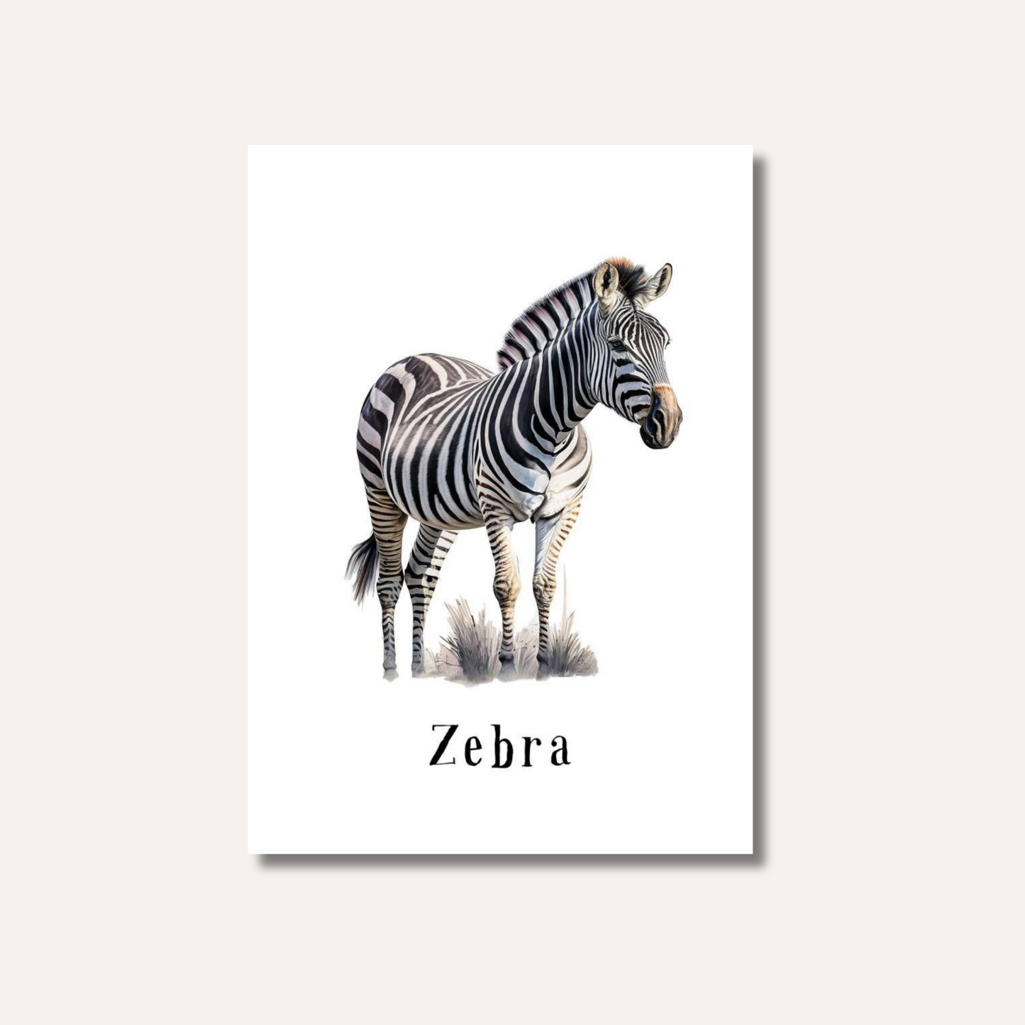 Flash Cards: Wild Animals x17