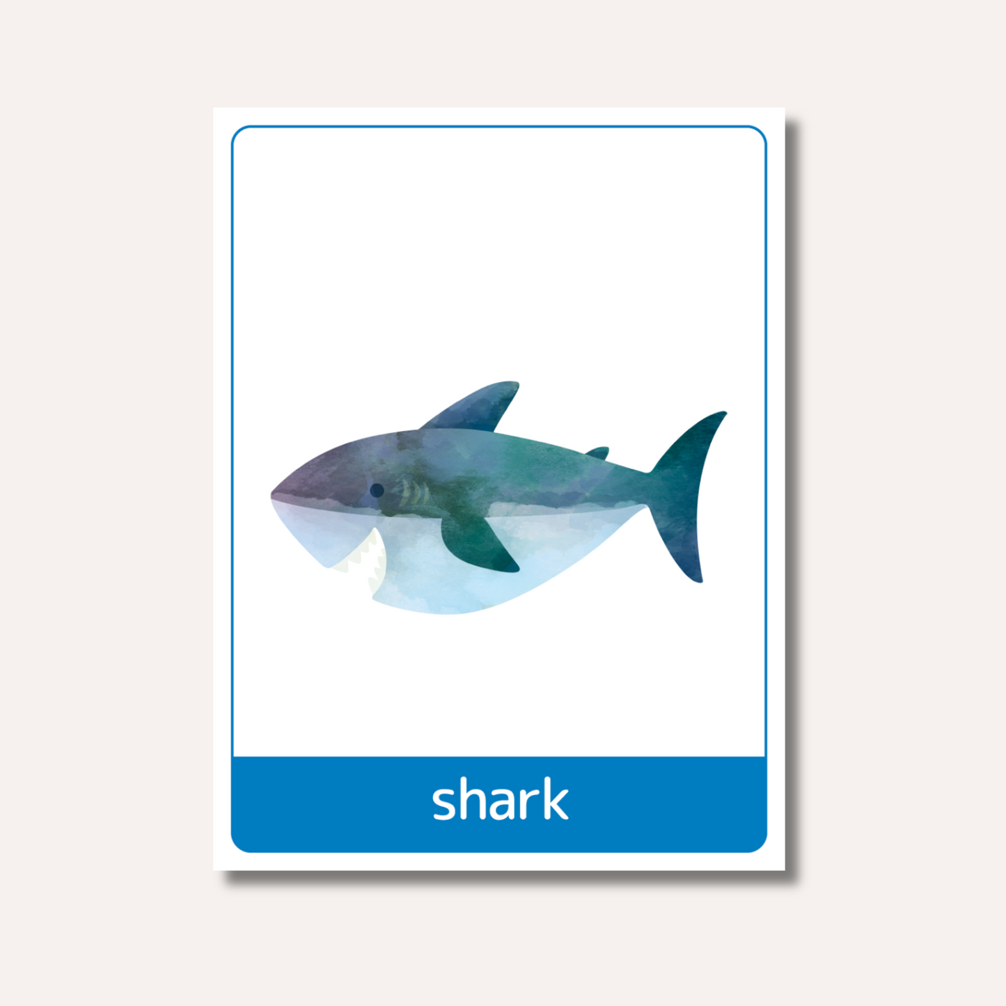 Flash Cards: Sea Animals x18