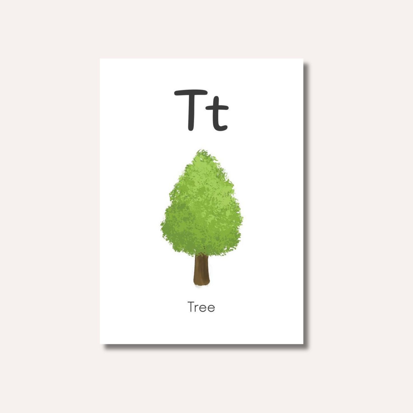 Flash Cards: Alphabet Illustrated x26