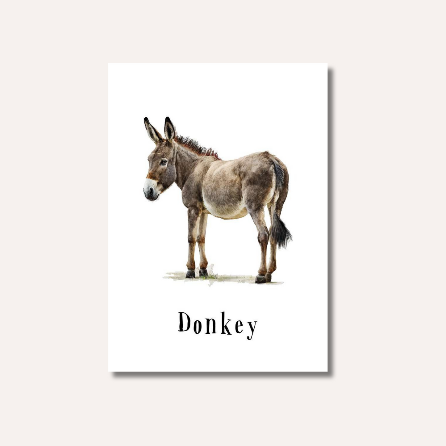 Flash Cards: Farm Animals x12