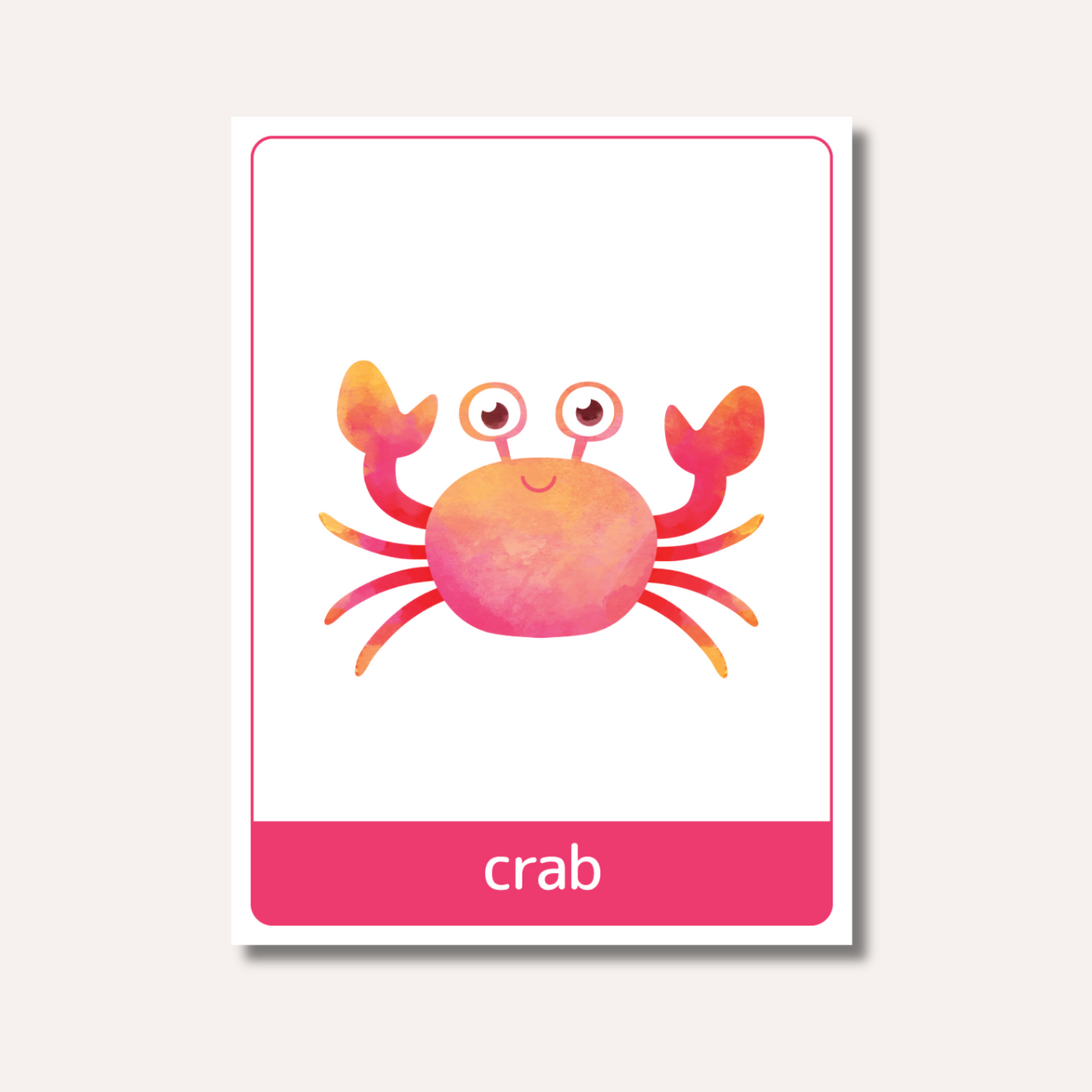Flash Cards: Sea Animals x18