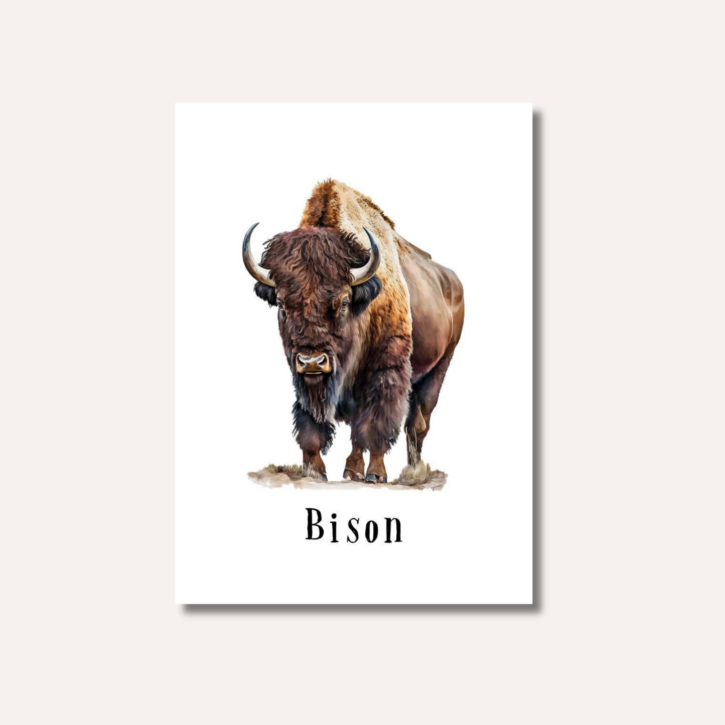 Flash Cards: Wild Animals x17