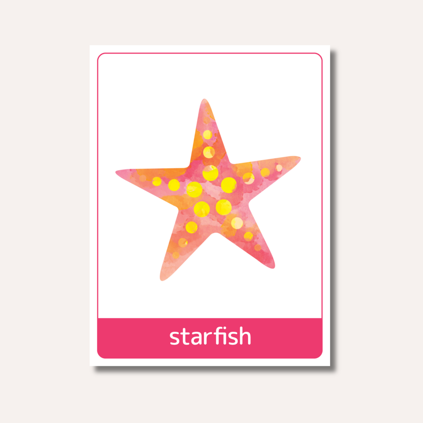 Flash Cards: Sea Animals x18