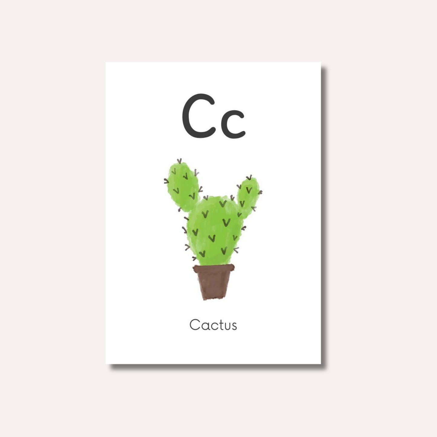 Flash Cards: Alphabet Illustrated x26