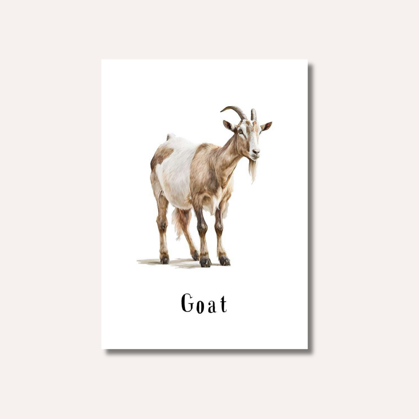 Flash Cards: Farm Animals x12