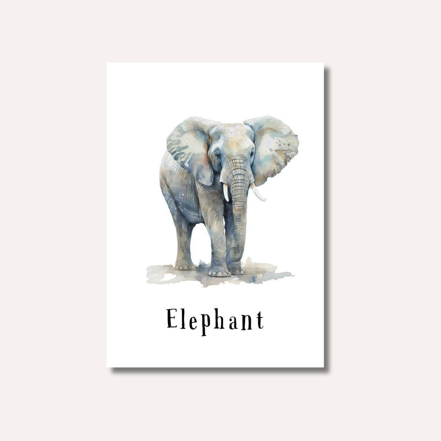 Flash Cards: Wild Animals x17