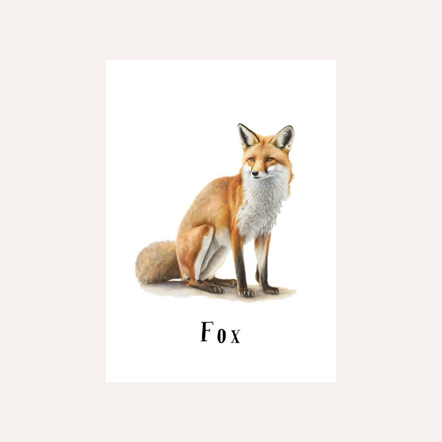 Flash Cards: Wild Animals x17