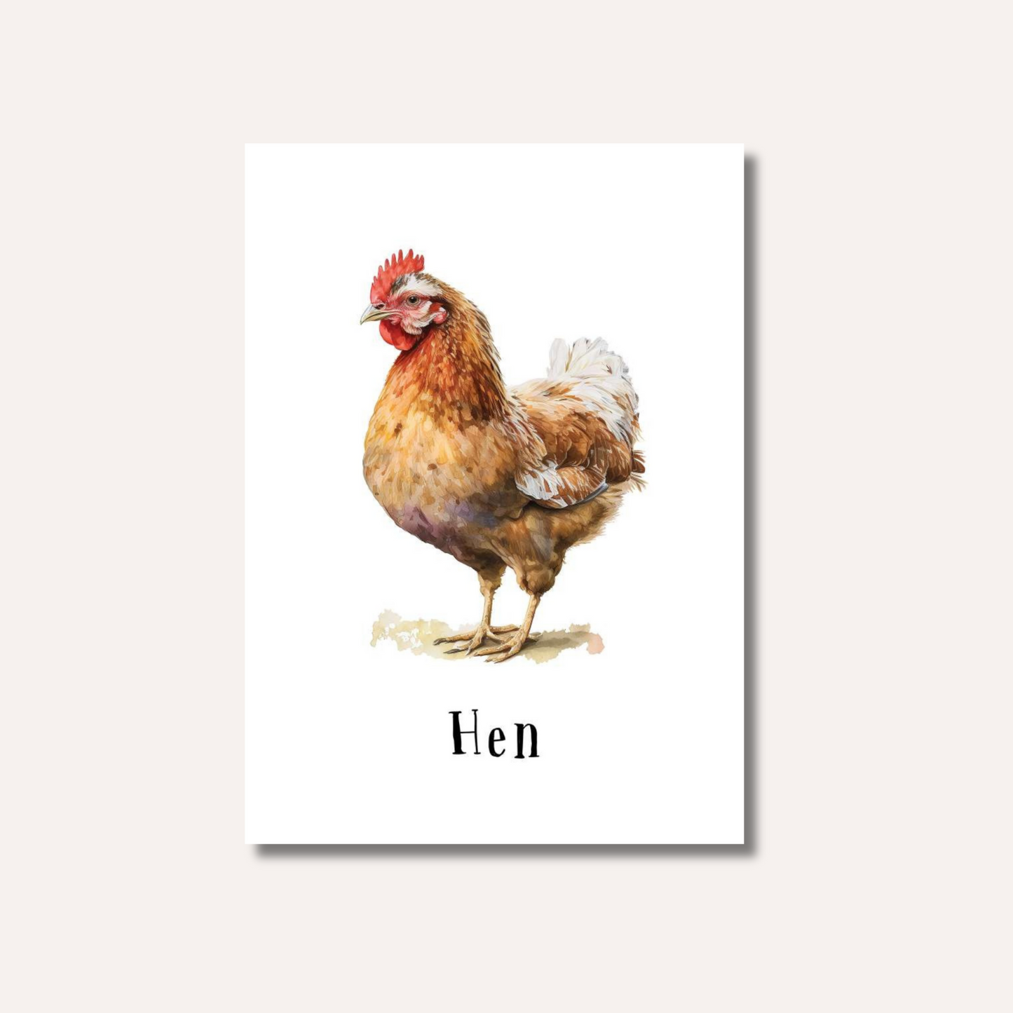 Flash Cards: Farm Animals x12