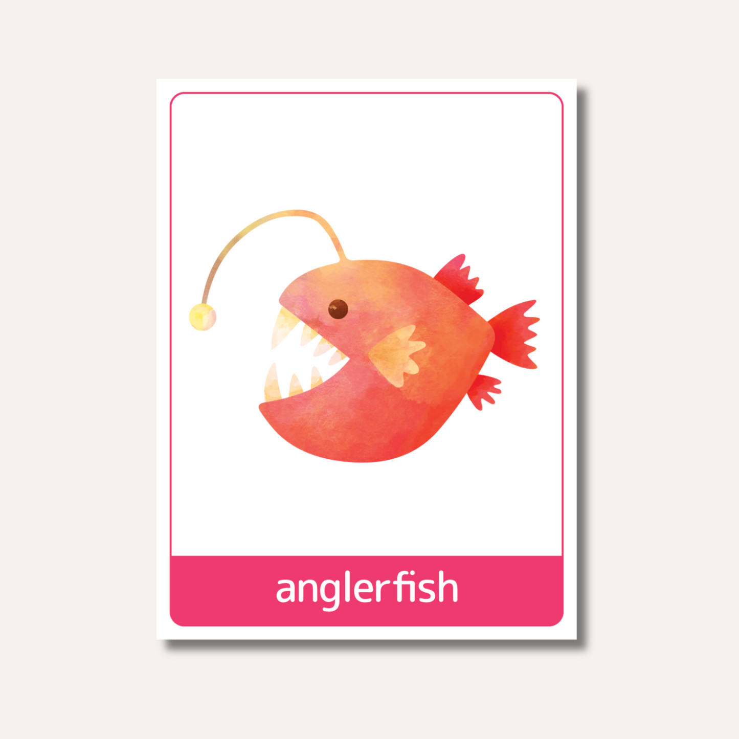 Flash Cards: Sea Animals x18