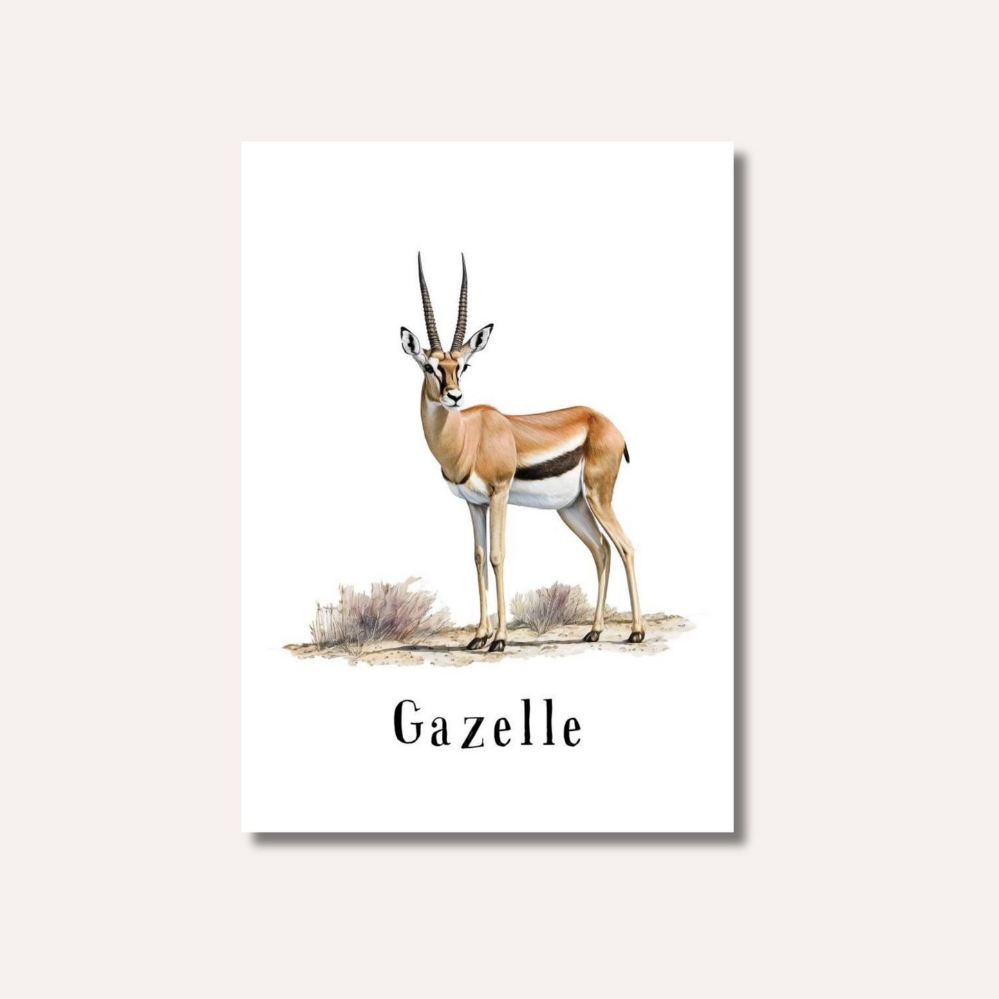Flash Cards: Wild Animals x17
