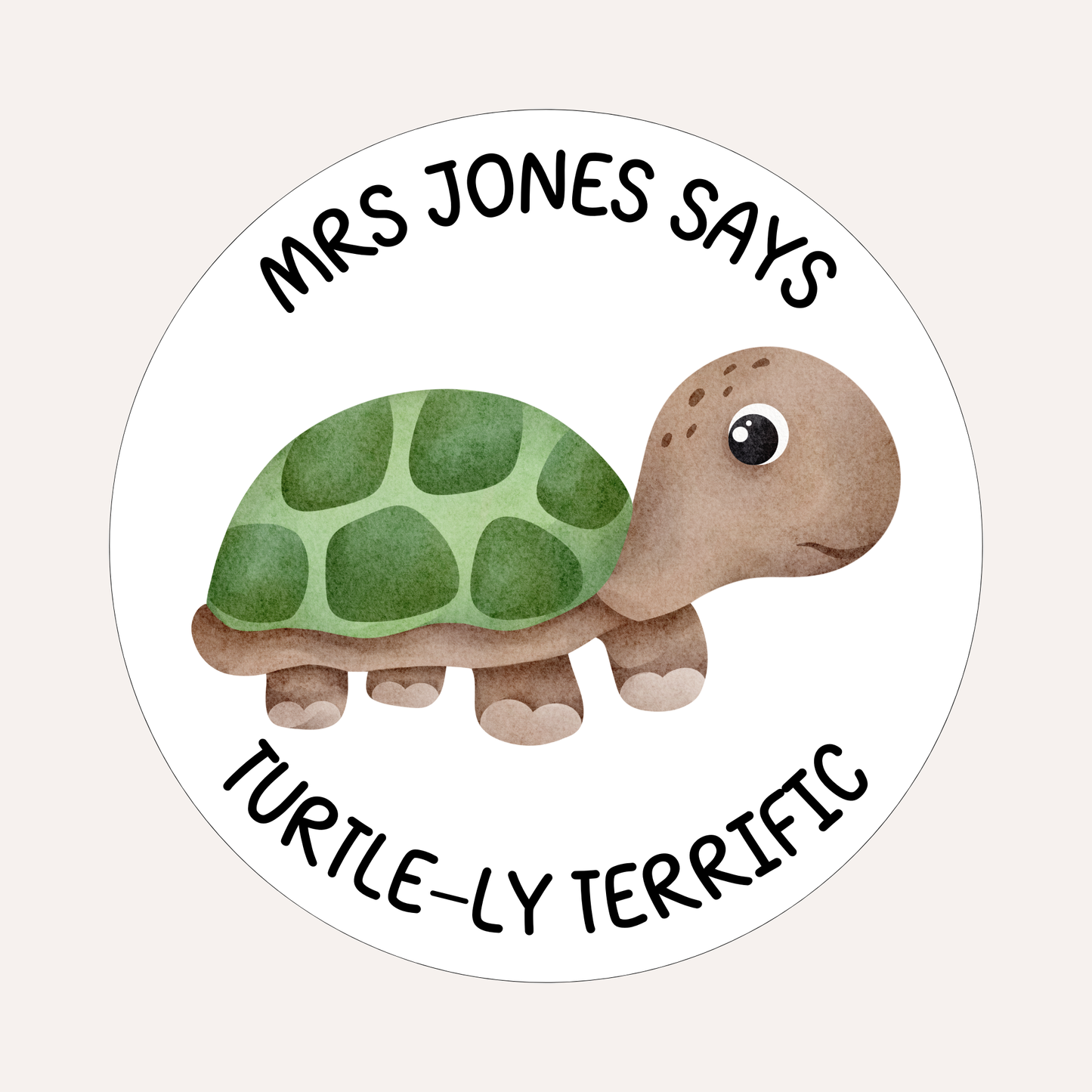 Turtle-ly Terrific
