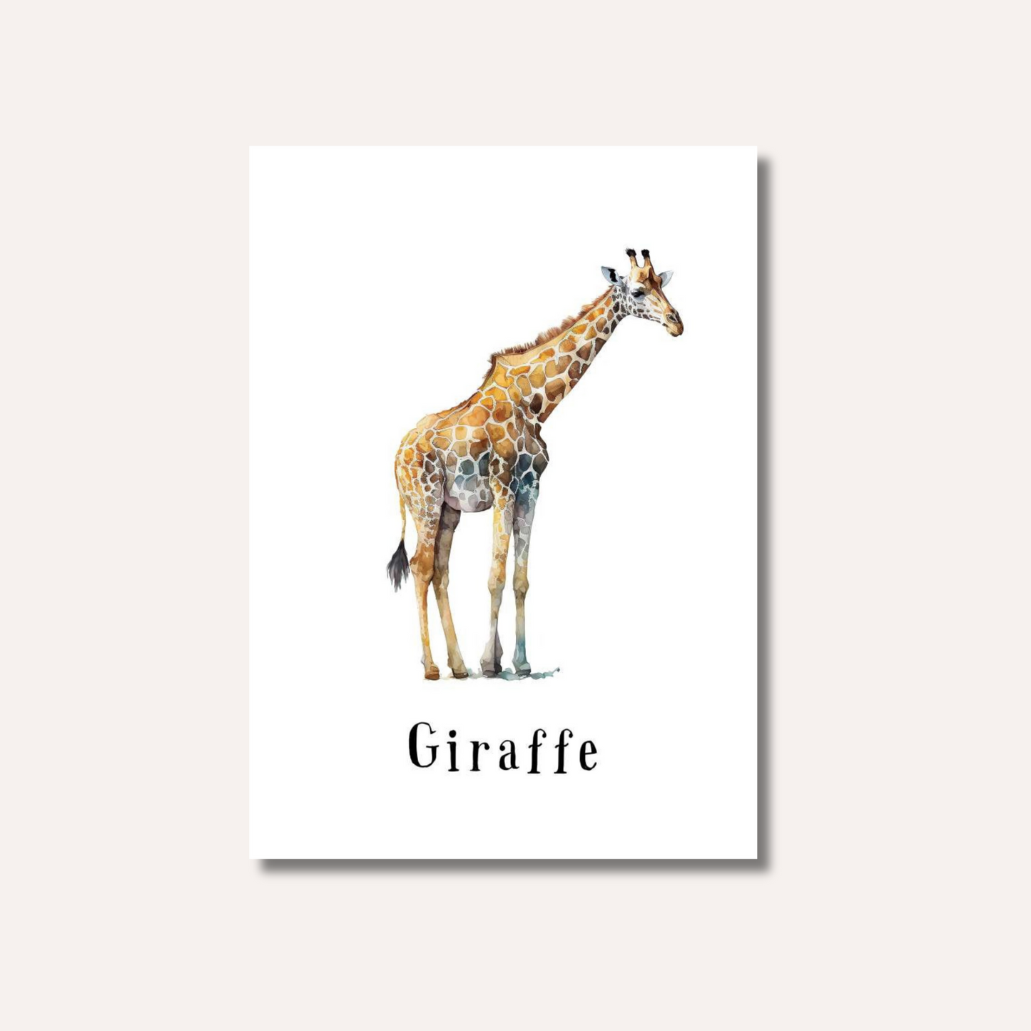 Flash Cards: Wild Animals x17