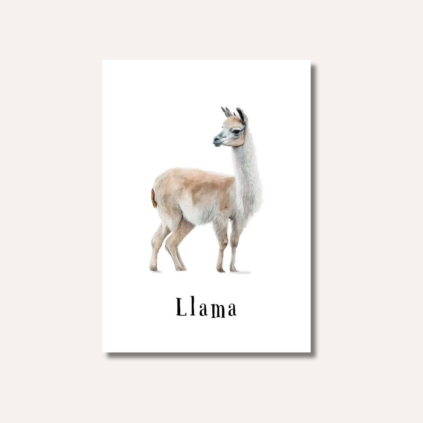 Flash Cards: Farm Animals x12