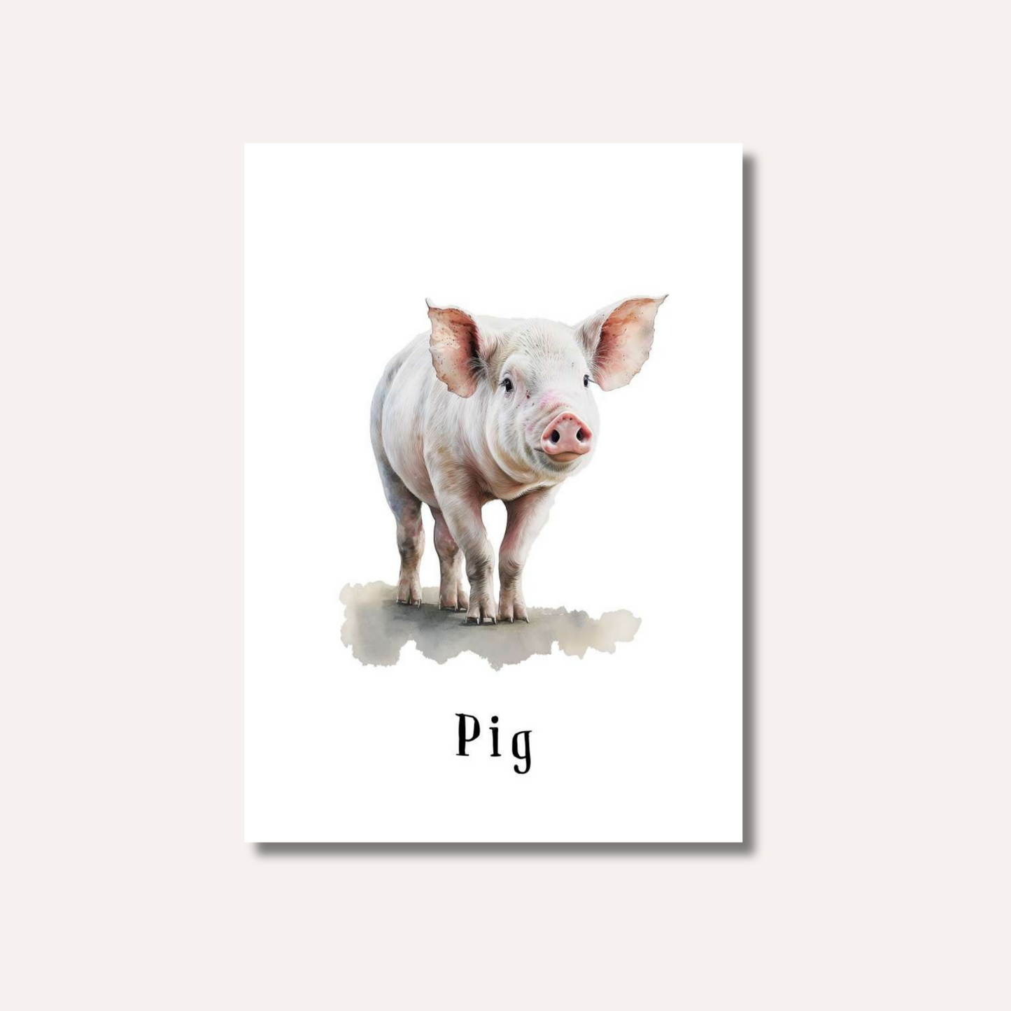 Flash Cards: Farm Animals x12