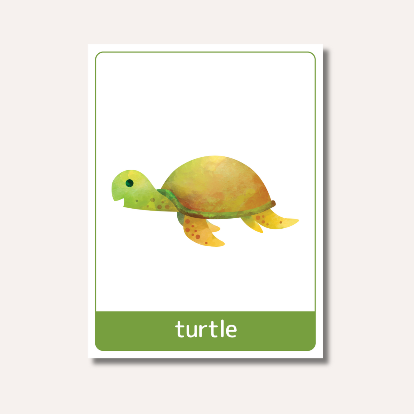 Flash Cards: Sea Animals x18