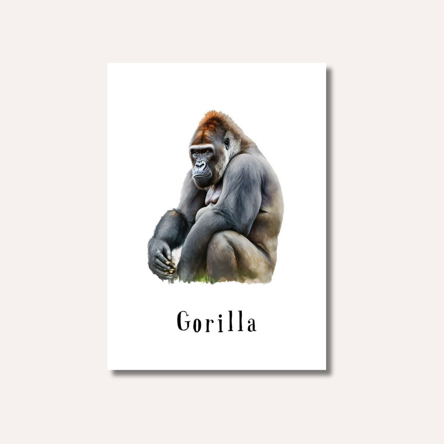 Flash Cards: Wild Animals x17