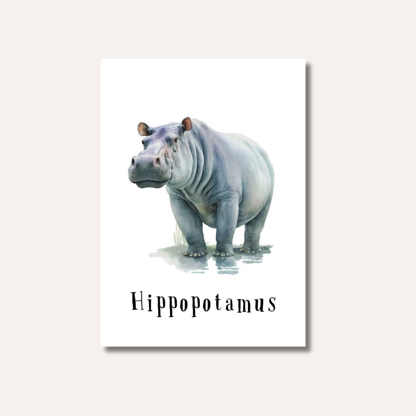 Flash Cards: Wild Animals x17