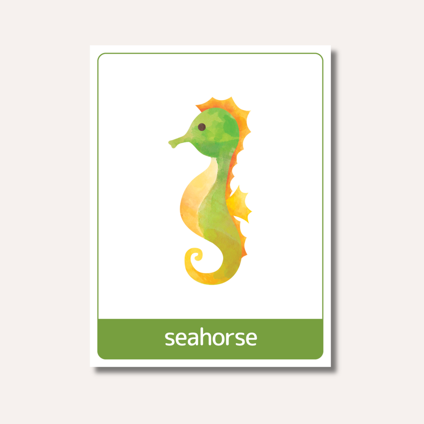 Flash Cards: Sea Animals x18