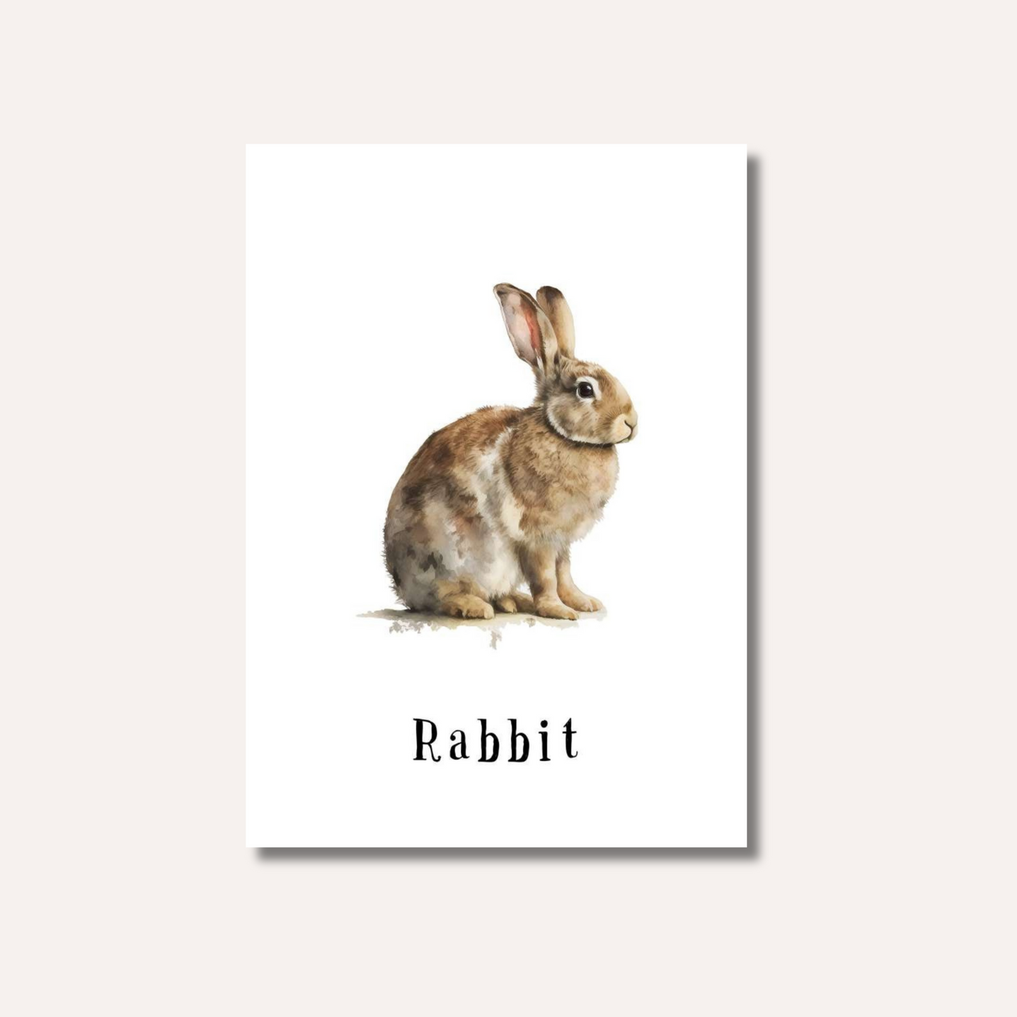 Flash Cards: Farm Animals x12