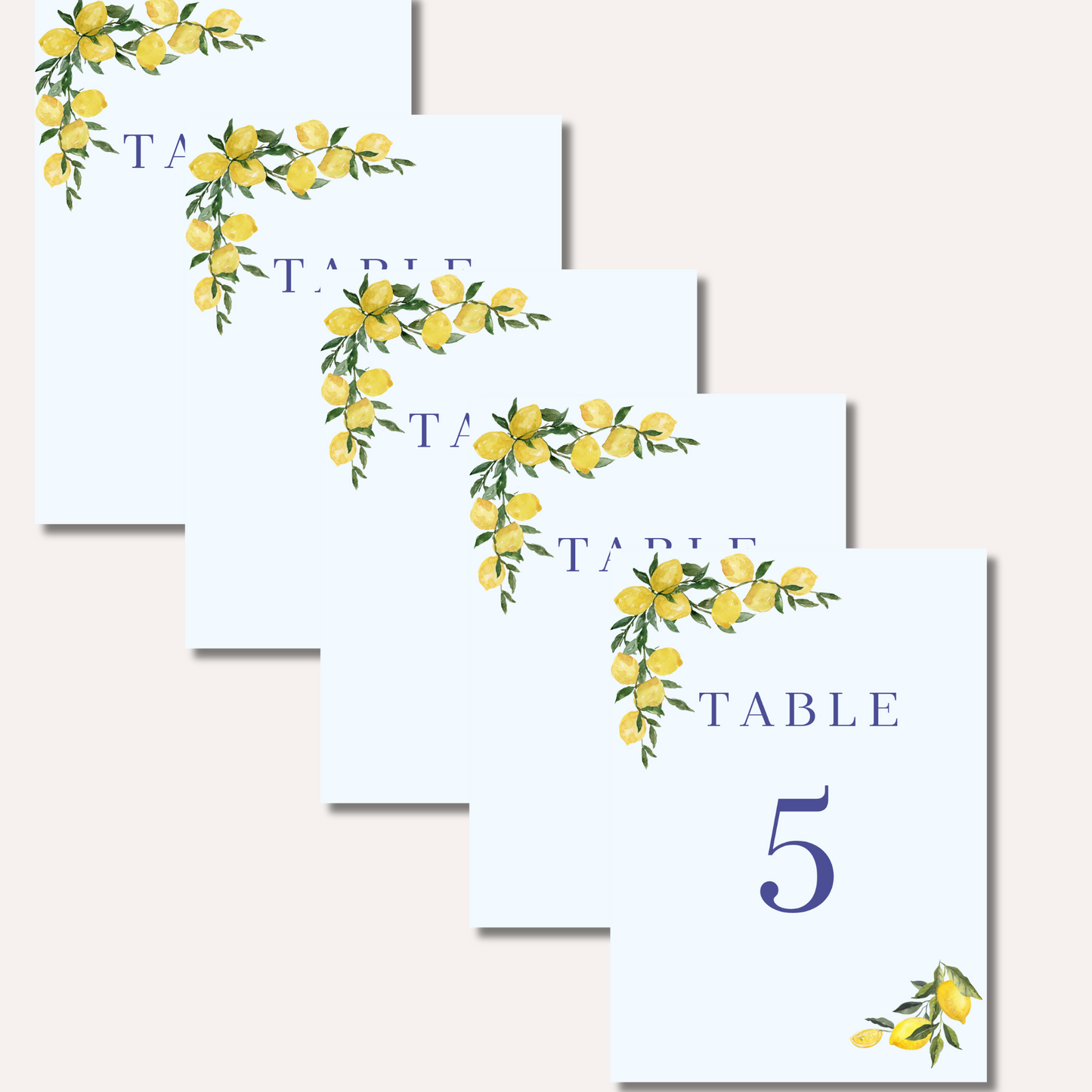 Table Numbers- Molly