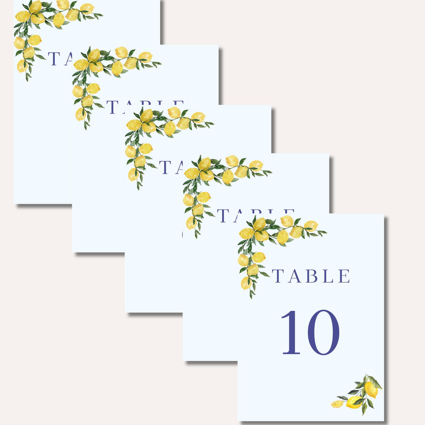 Table Numbers- Molly