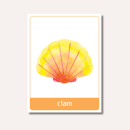 Flash Cards: Sea Animals x18