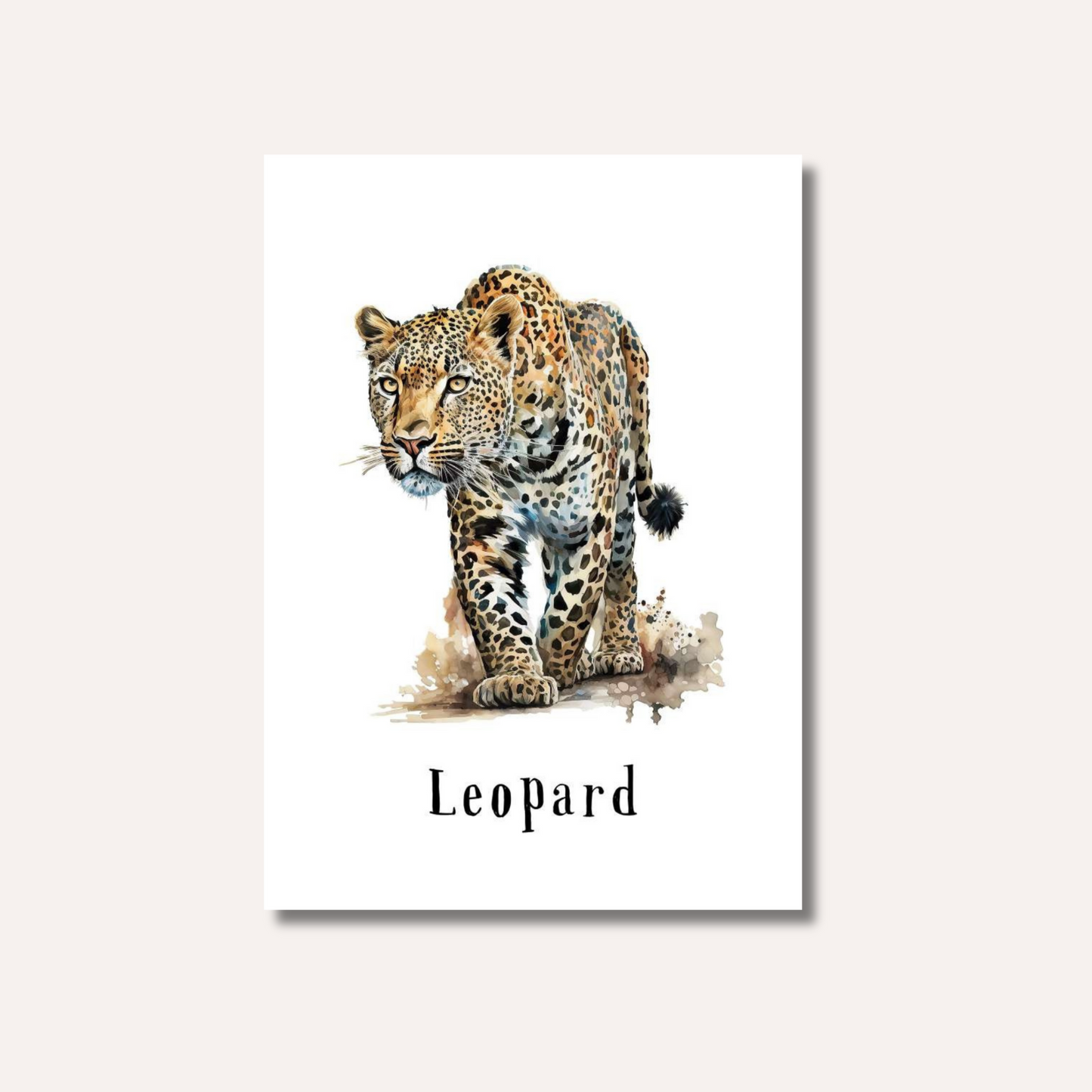Flash Cards: Wild Animals x17