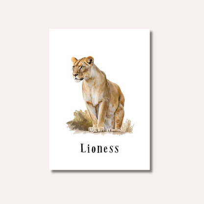 Flash Cards: Wild Animals x17