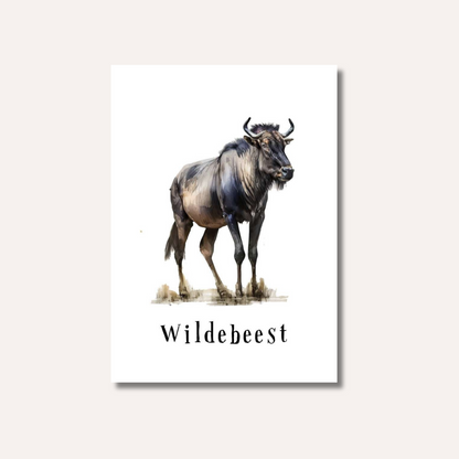 Flash Cards: Wild Animals x17
