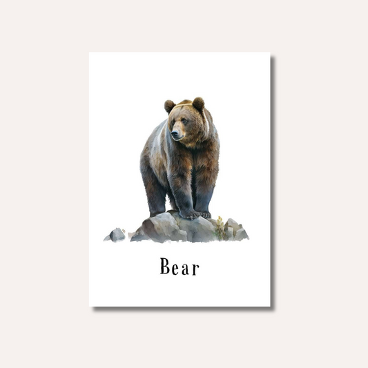 Flash Cards: Wild Animals x17