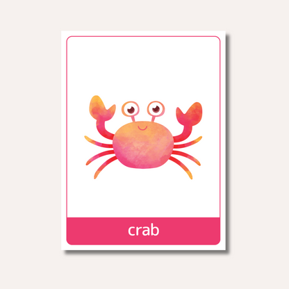 Flash Cards: Sea Animals x18