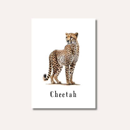 Flash Cards: Wild Animals x17