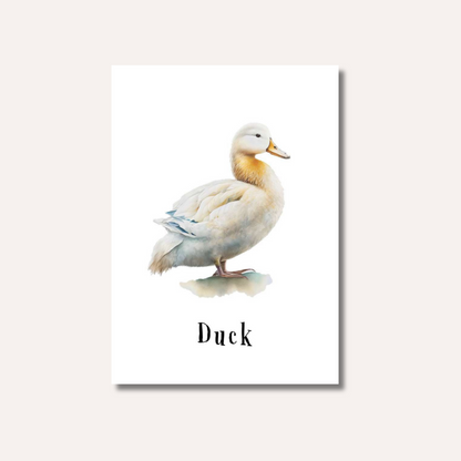 Flash Cards: Farm Animals x12