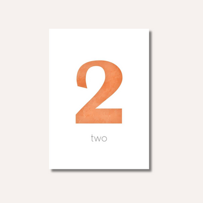 Flash Cards: Numbers x 11