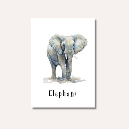 Flash Cards: Wild Animals x17