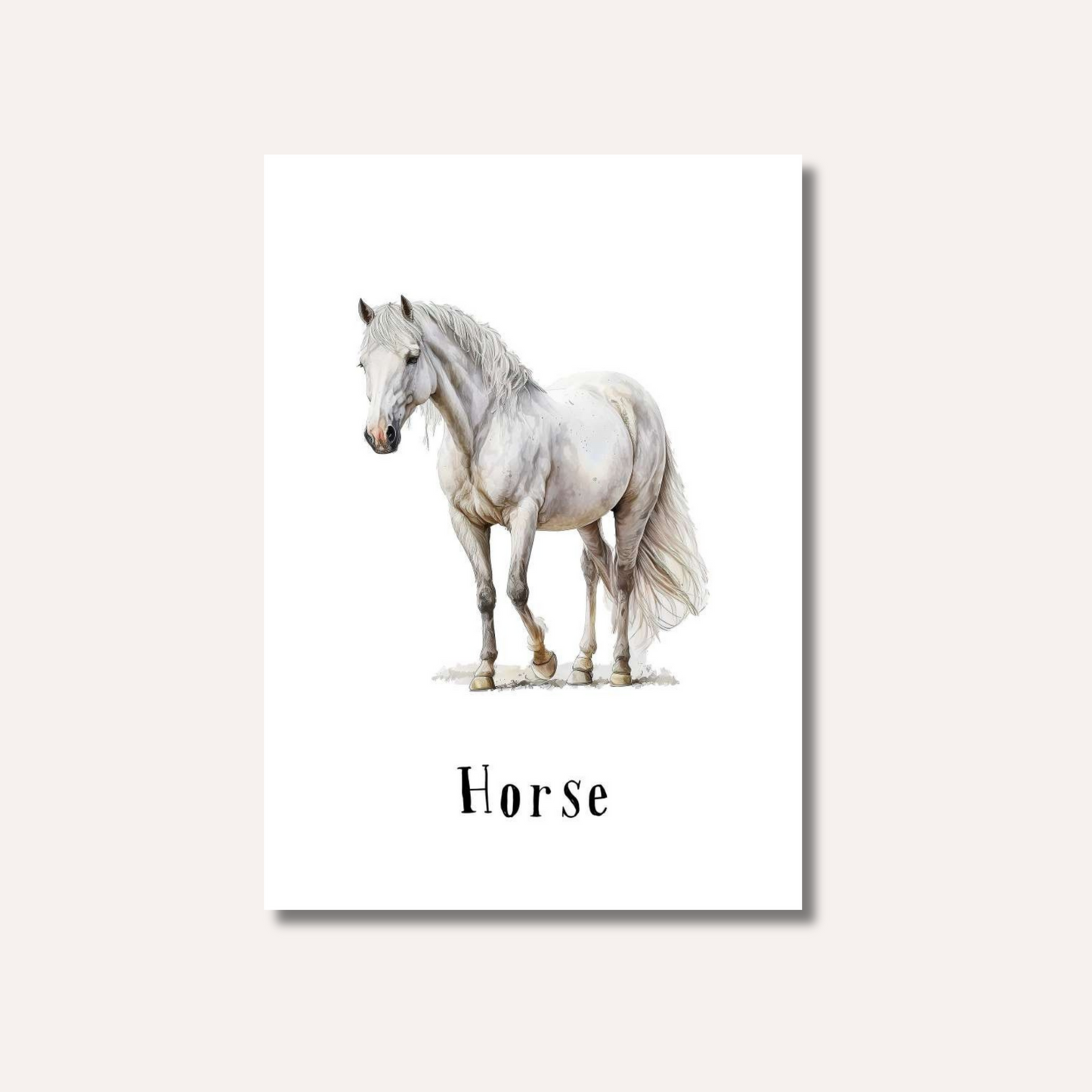 Flash Cards: Farm Animals x12